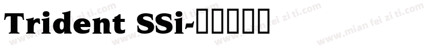 Trident SSi字体转换